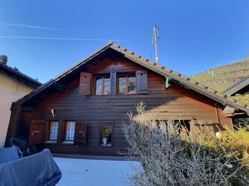 Casa di villaggio nel cuore delle vigne (18)