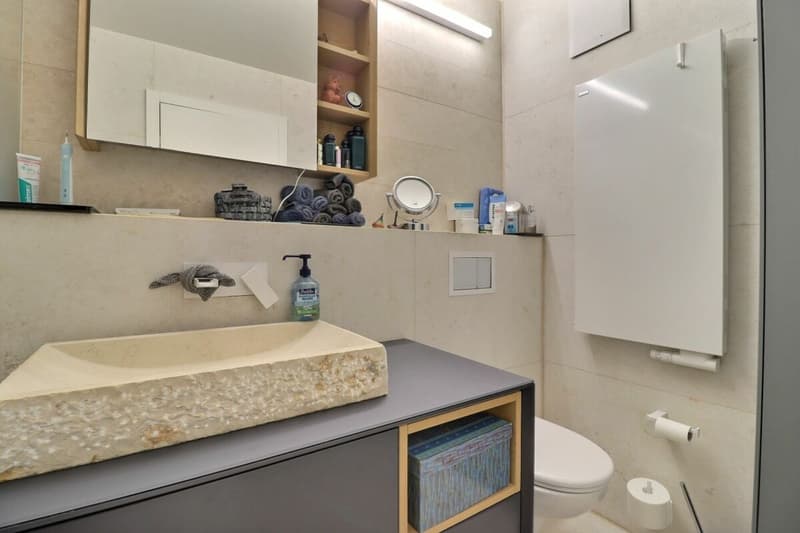 Charming 3.5-room apartment + mezzanine (14)