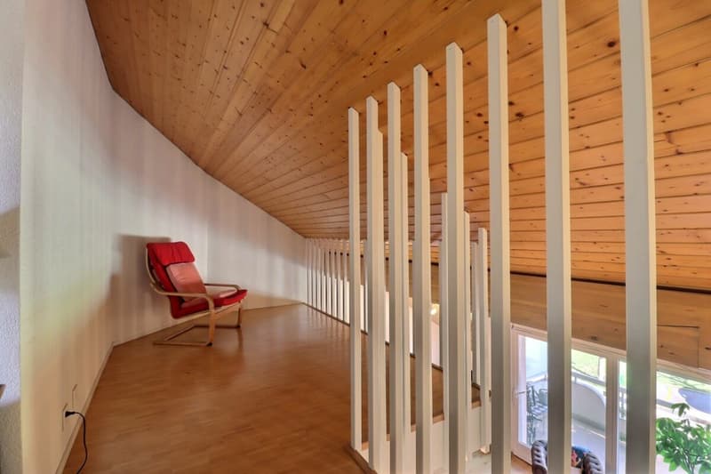 Charming 3.5-room apartment + mezzanine (10)