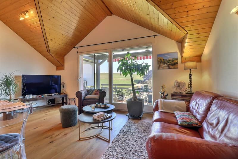 Charming 3.5-room apartment + mezzanine (6)