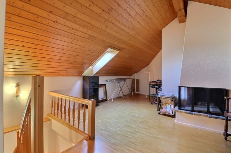 Charming 3.5-room apartment + mezzanine (11)