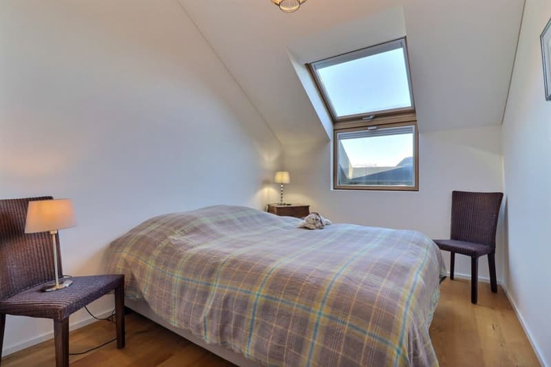 Charming 3.5-room apartment + mezzanine (7)