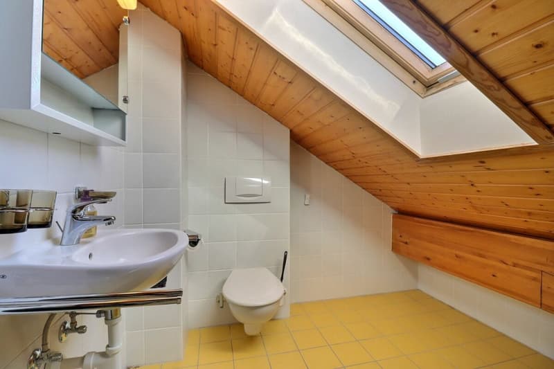 Charming 3.5-room apartment + mezzanine (12)