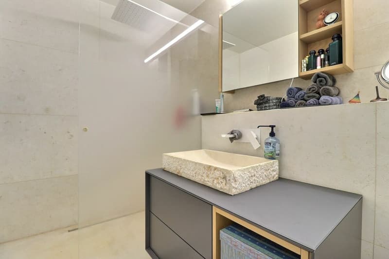 Charming 3.5-room apartment + mezzanine (13)