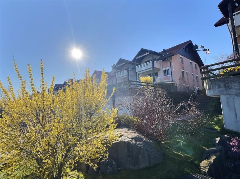 Charming 3.5-room apartment + mezzanine (17)