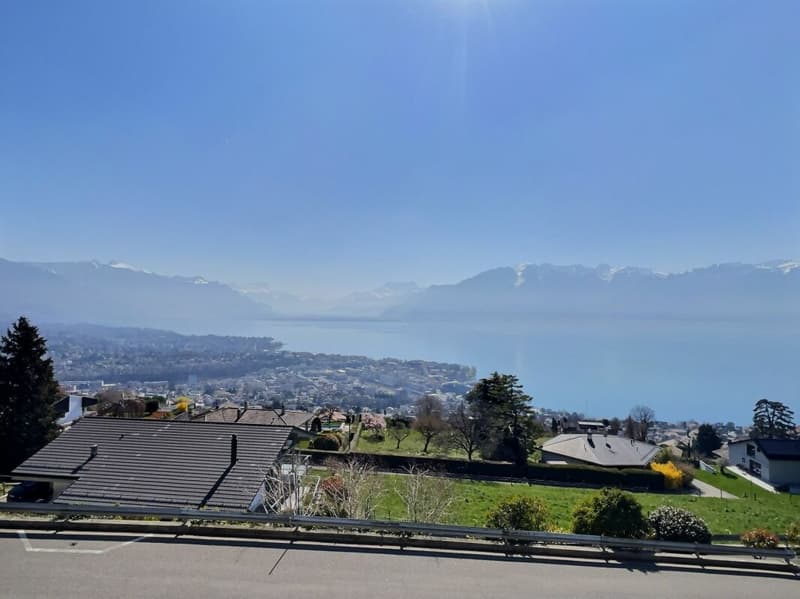 Duplex mit 3,5 Zimmern + Büro mit großem Potenzial und unvergleichlichem Blick (2)