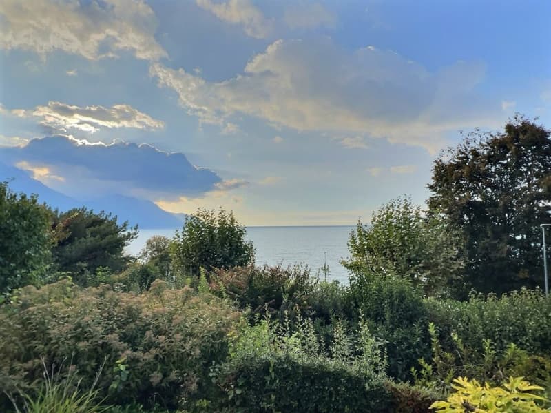 Elegante Villa in einem exklusiven Viertel, direkt am See (2)