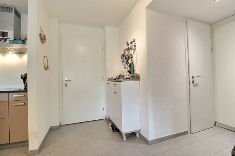 Spacious 5.5-room apartment (20)