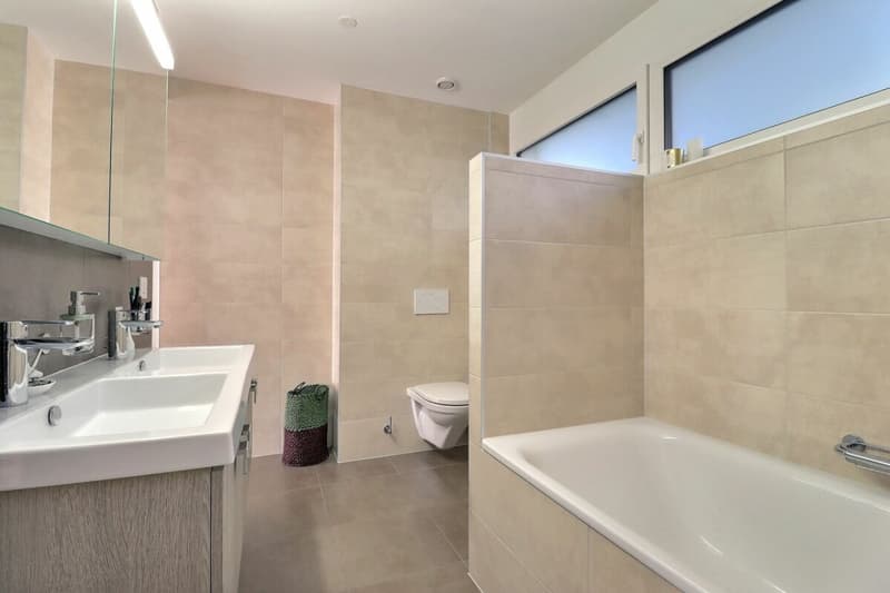 Spacious 5.5-room apartment (15)