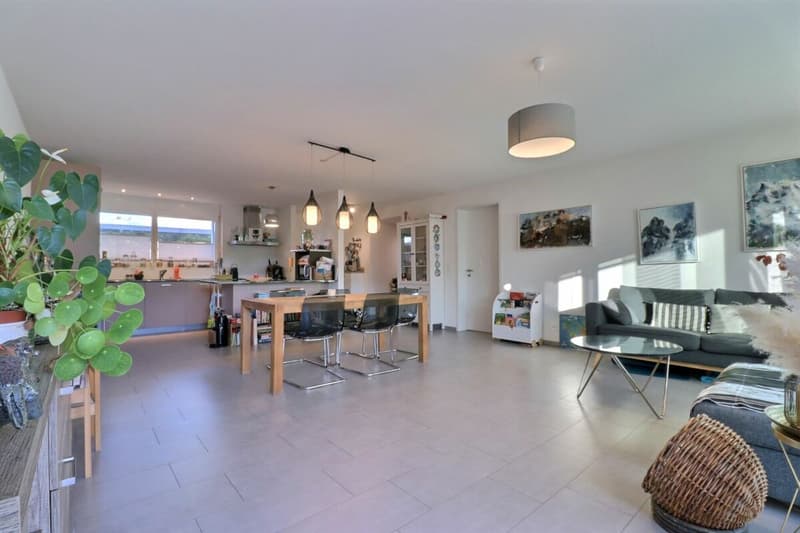 Spacious 5.5-room apartment (5)