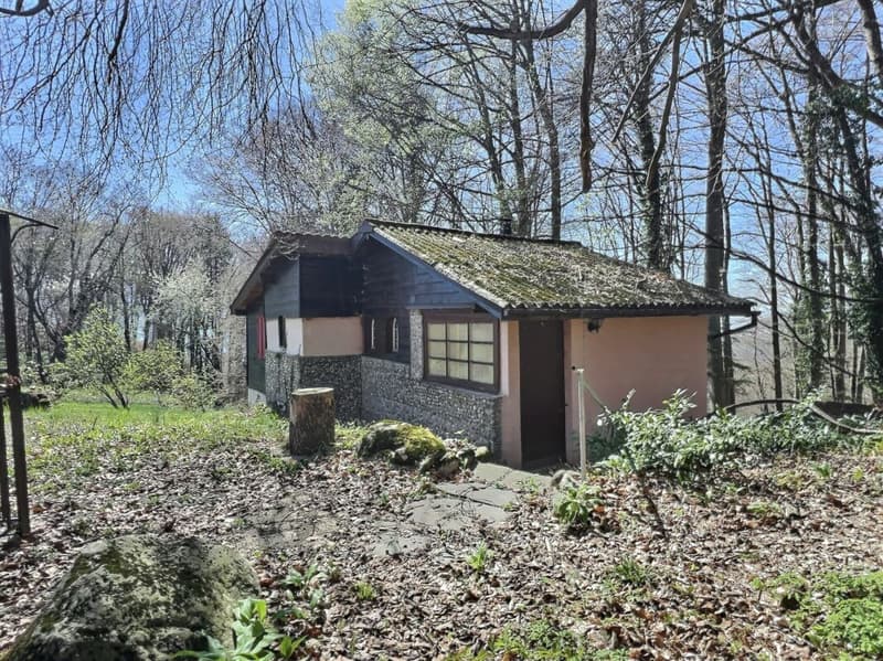 Chalet with forest and agricultural land (4)