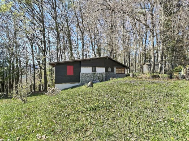 Chalet with forest and agricultural land (5)