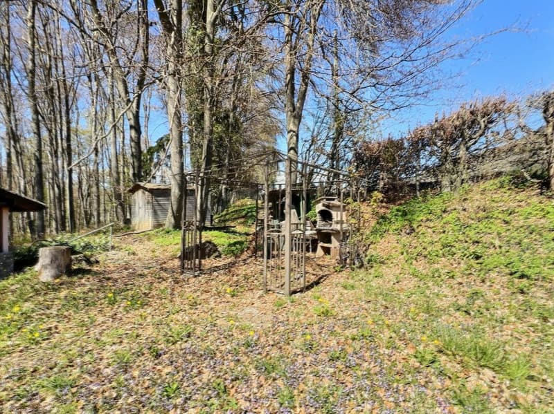 Chalet with forest and agricultural land (2)