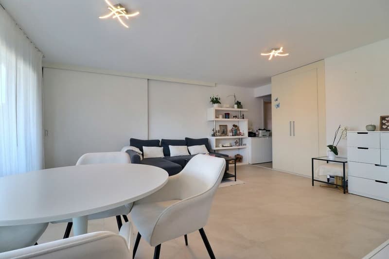 4.5 rooms close to the lake and all amenities (13)