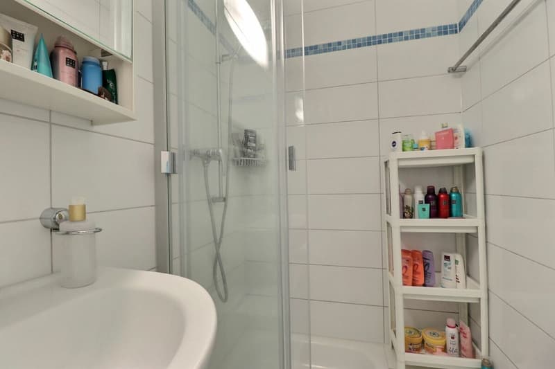 4.5 rooms close to the lake and all amenities (12)