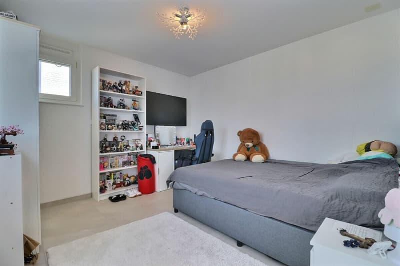 4.5 rooms close to the lake and all amenities (8)
