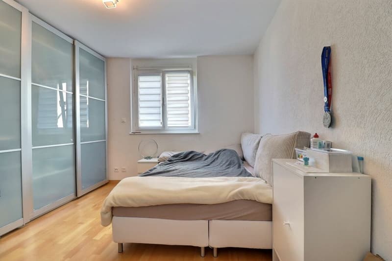 4.5 rooms close to the lake and all amenities (7)