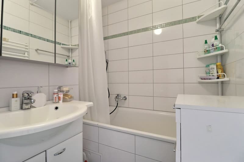 4.5 rooms close to the lake and all amenities (11)