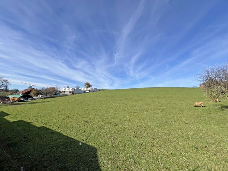Lot 10  - Vue depuis séjour  et chambre