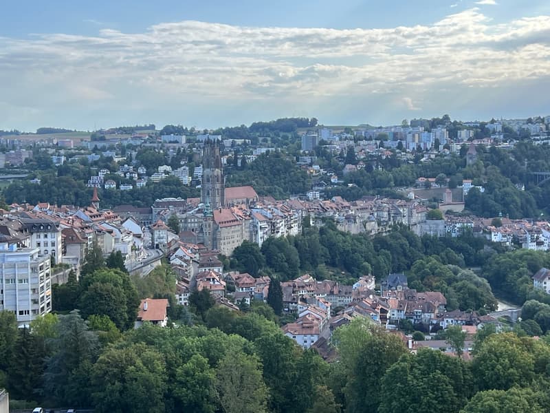 Spacieux 5,5 pièces en plein centre ville de Fribourg (1)