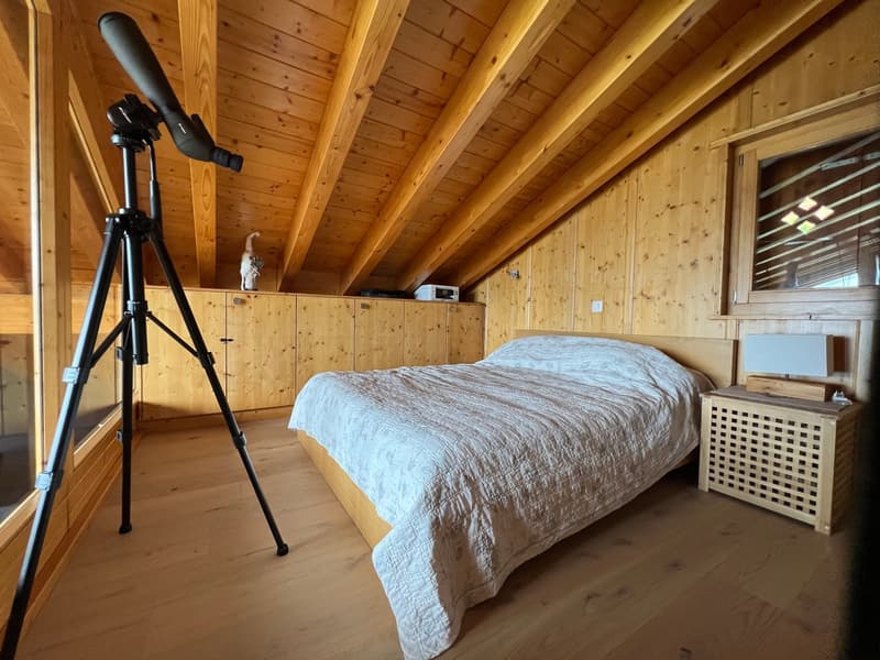 Magnifique chalet 7,5 pièces avec vue imprenable (6)