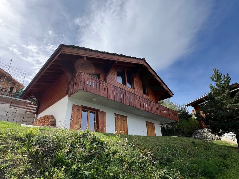 Magnifique chalet 7,5 pièces avec vue imprenable (3)