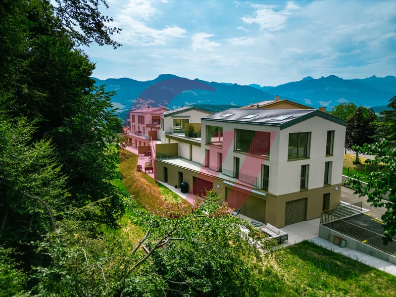 Exceptional properties in Sorens! (7)