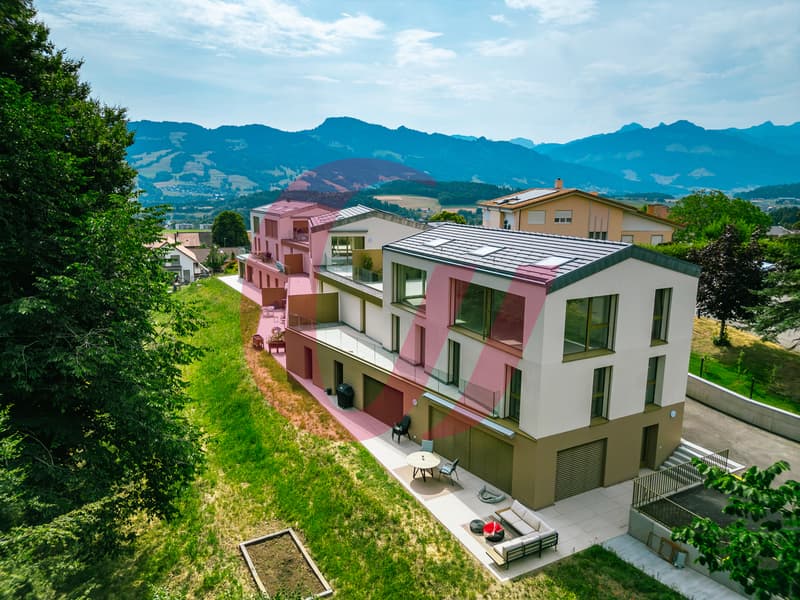 Exceptional properties in Sorens! (6)