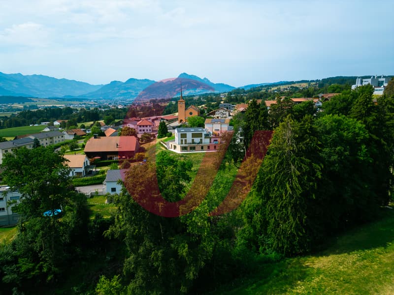 Exceptional properties in Sorens! (9)