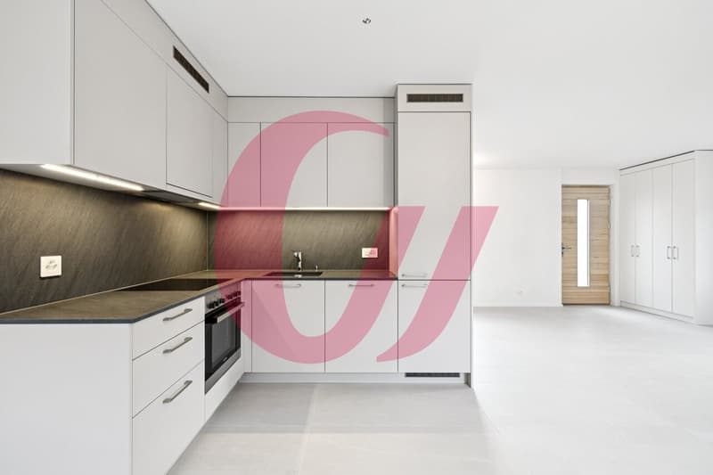 4.5-room triplex apartment in Romont (2)