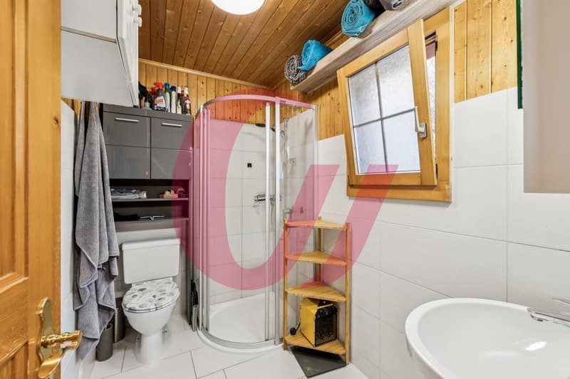 Chalet of 4.5 rooms in Crésuz with panoramic view! (11)