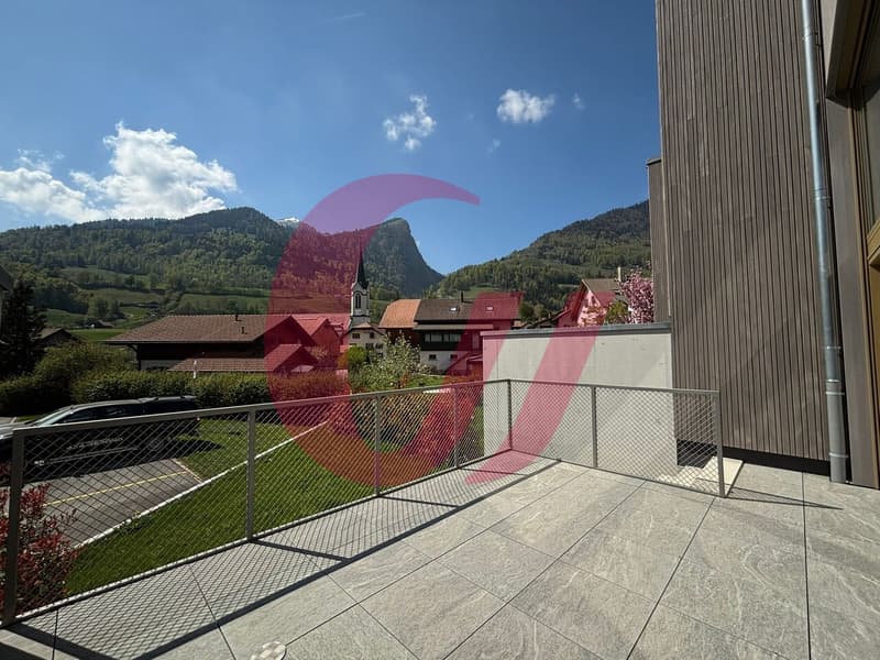 The Lys Houses in Albeuve! (12)