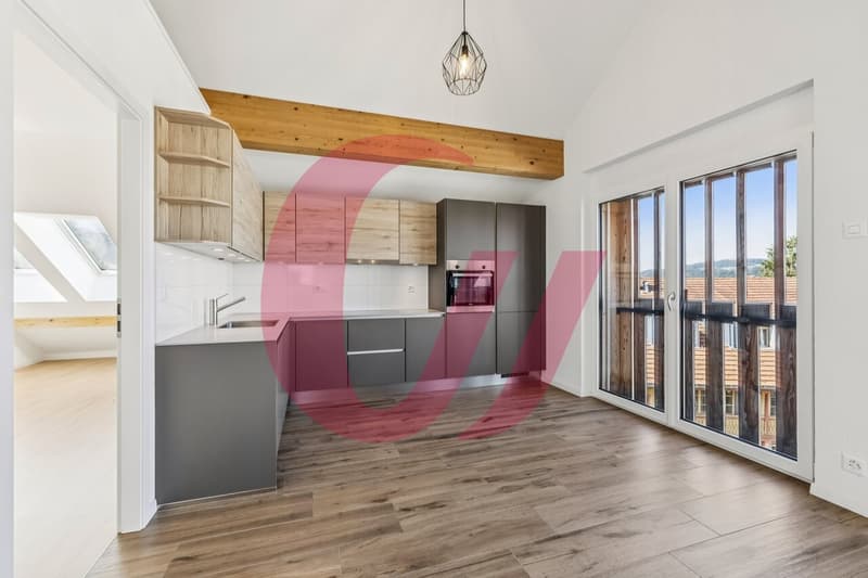 Apartment with 2.5 rooms, ideal for rental income! (1)