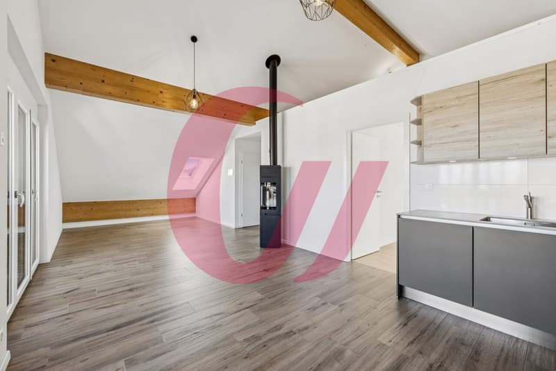 Apartment with 2.5 rooms, ideal for rental income! (5)