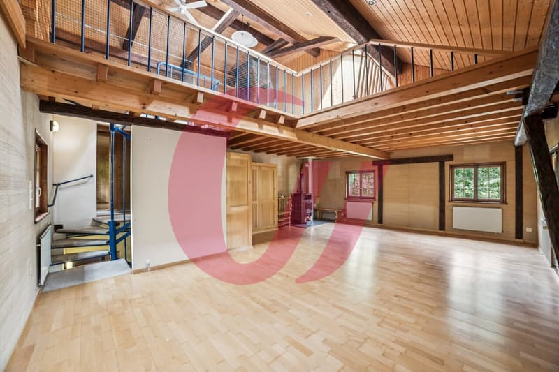 Maison individuelle dans un environnement paisible à Montbovon (4)