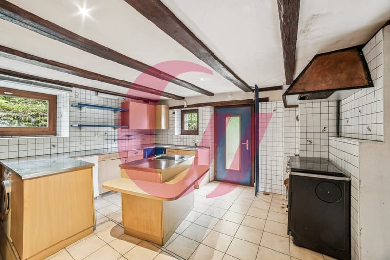 Maison individuelle dans un environnement paisible à Montbovon (3)