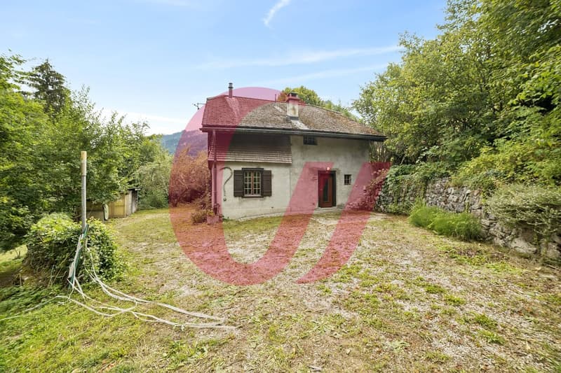 Maison individuelle dans un environnement paisible à Montbovon (2)