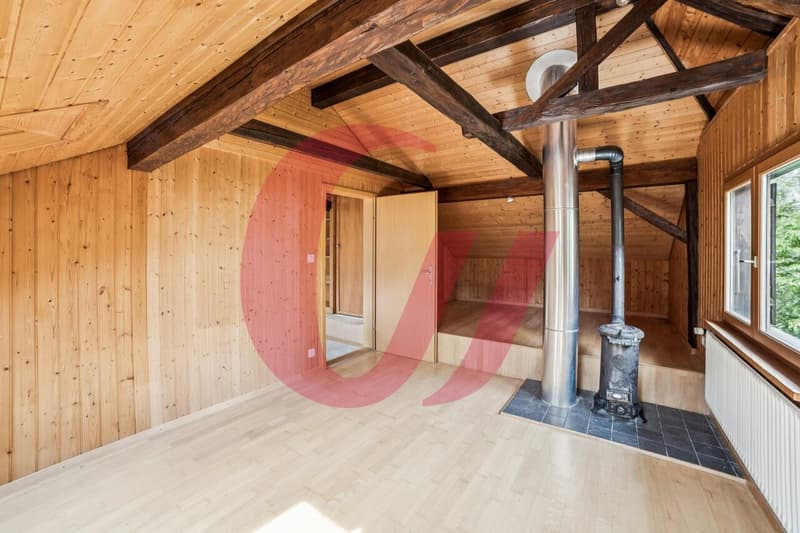 Maison individuelle dans un environnement paisible à Montbovon (5)