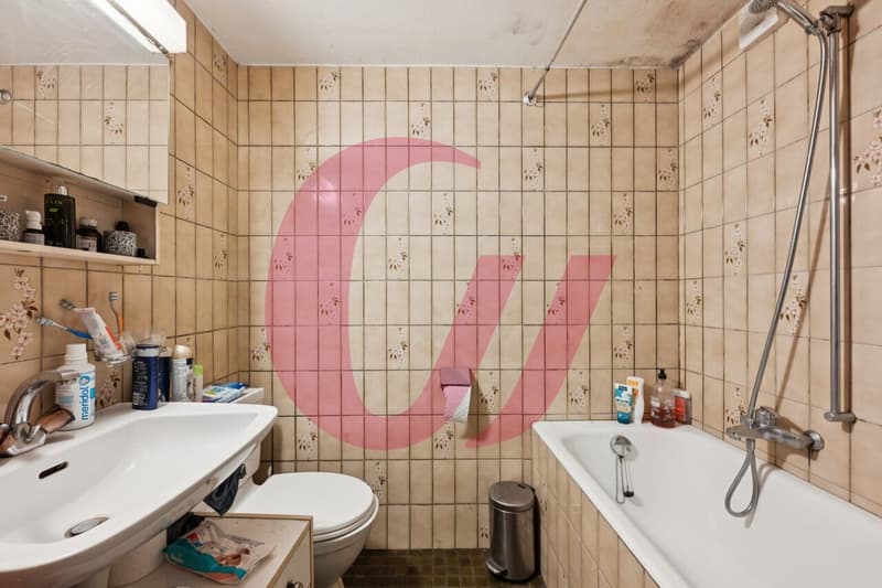 Maison villageoise au coeur de Lessoc ! (10)