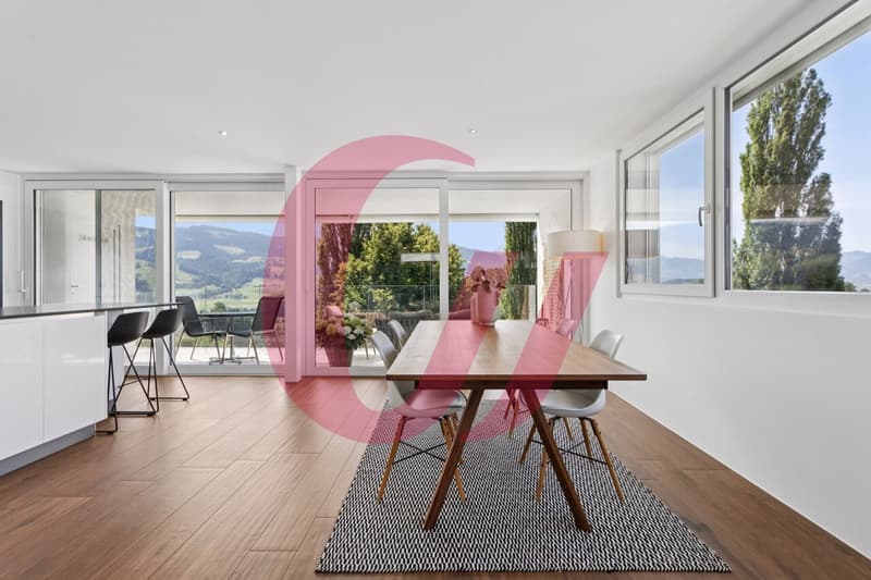 Magnifique appartement de 4.5 pièces avec vue imprenable ! (6)