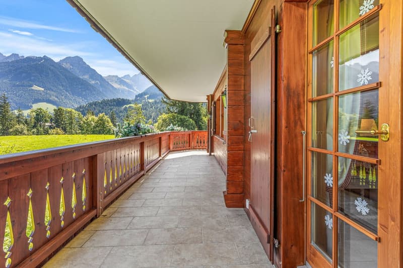 Magnificent apartment (7)