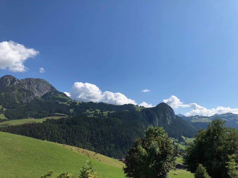 The image shows a scenic mountain landscape with green rolling hills, dense forests, and towering peaks in the background under a blue sky with fluffy white clouds. There are some grazing animals visible in the foreground on the grassy slopes.