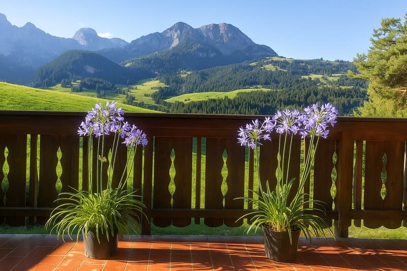 Spacious Chalet - exceptional and rare situation, 15 minutes from Gstaad (20)