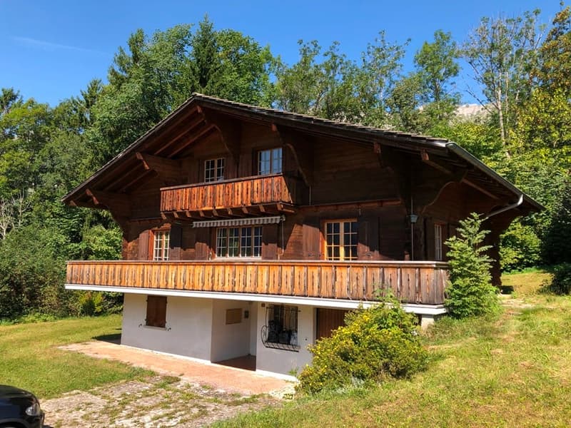 Wooden chalet style house, wooden balcony, white painted lower floor, set in a natural setting with a large lawn and trees
