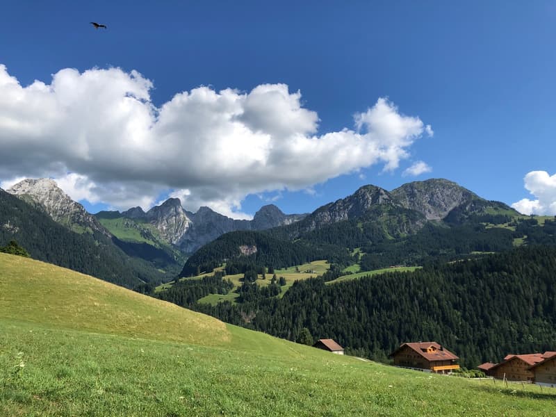 The image shows a picturesque mountain landscape with lush green meadows, dense forests, and rugged peaks in the background. Several traditional wooden houses are visible in the foreground, nestled among the rolling hills. The sky is filled with fluffy wh