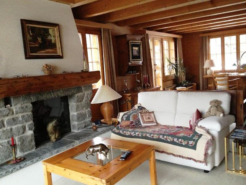 Chalet for sale near the city center (2)