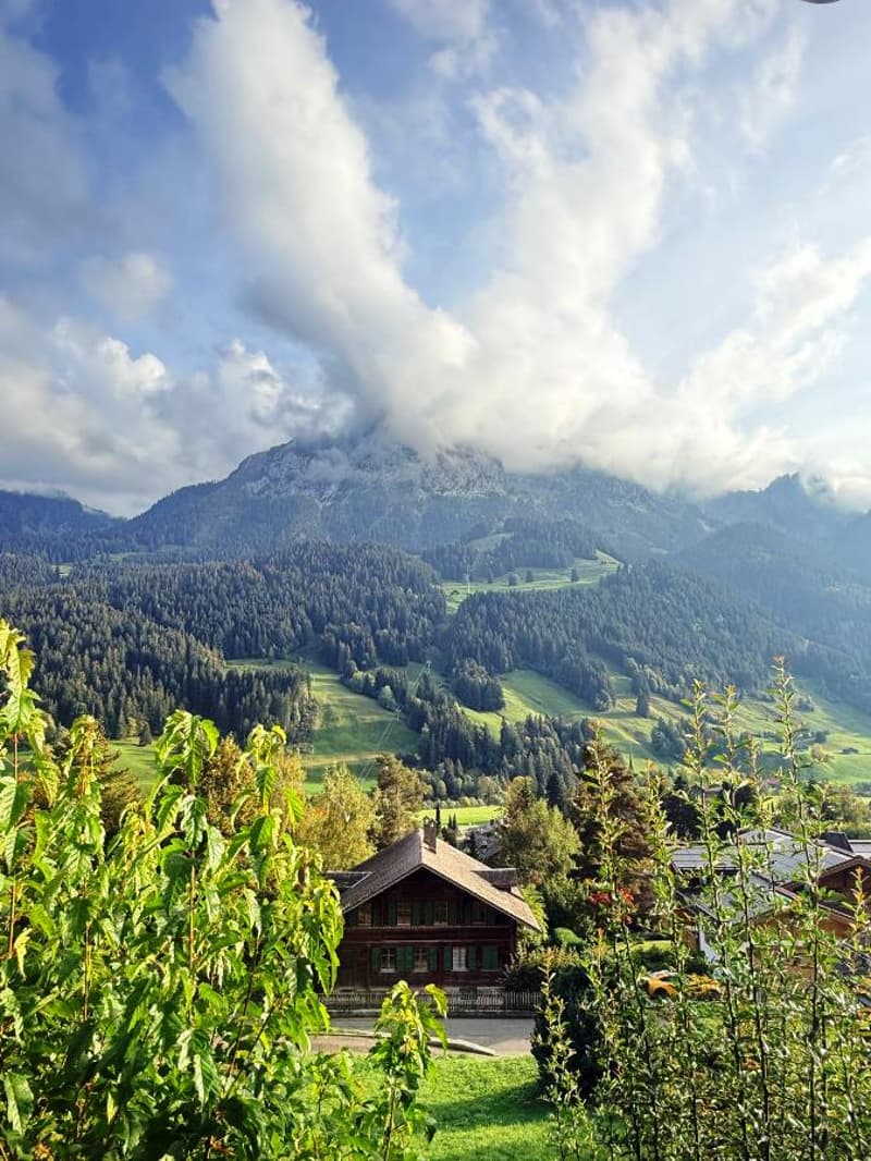 Charmant appartement de 3,5 pièces avec terrasse et vue sur les montagnes et la vallée à Rougemont (17)