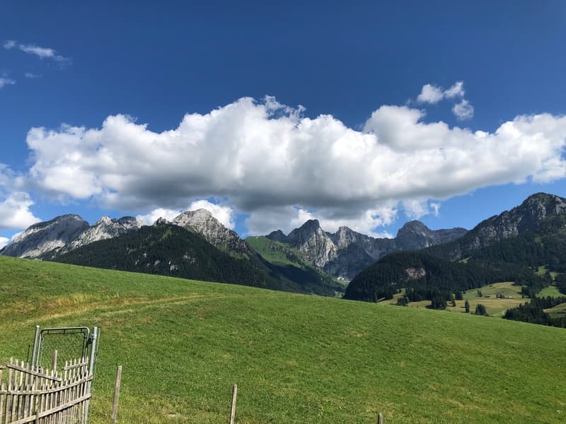 Chalet spacieux - situation exceptionnelle et rare à 15 min. de Gstaad (17)