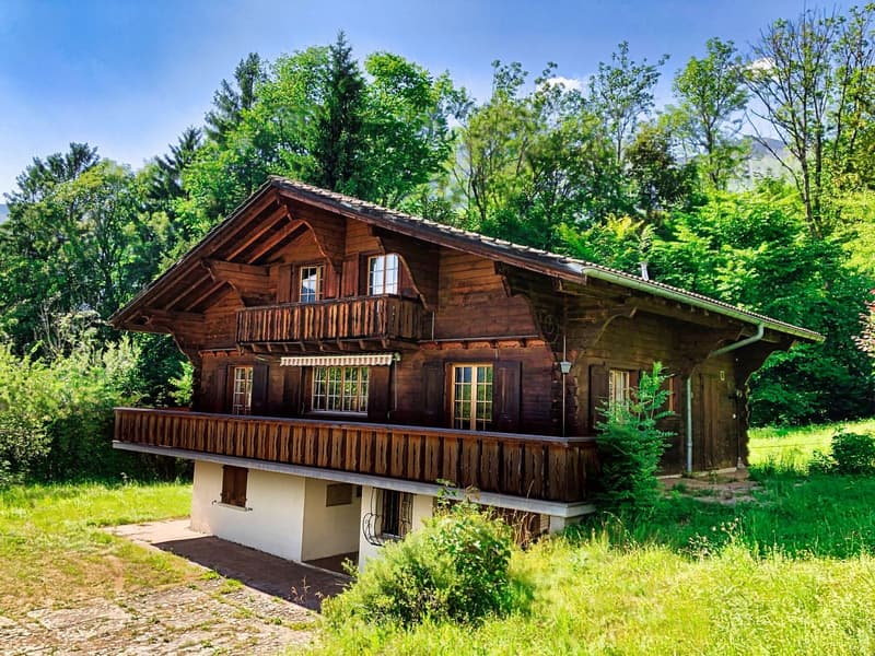 Chalet spacieux - situation exceptionnelle et rare à 15 min. de Gstaad (1)