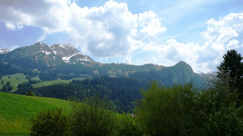 Chalet spacieux - situation exceptionnelle et rare à 15 min. de Gstaad (16)